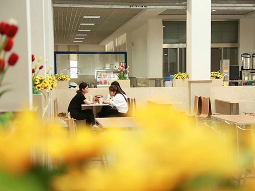 ���Sʳ�óа�